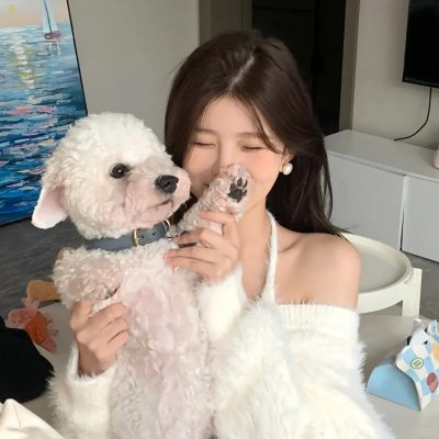 自由协议